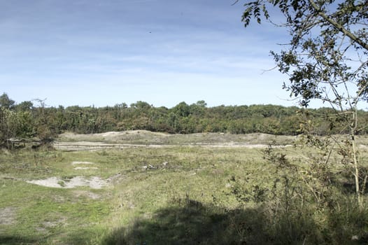 nature area called waterplas near the dutch place Rockanje