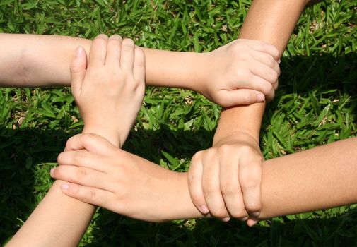 Multicultural hands on green grass