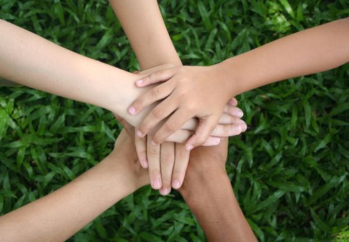 Multicultural hands on green grass