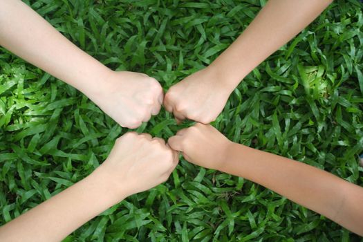 Multicultural hands on green grass