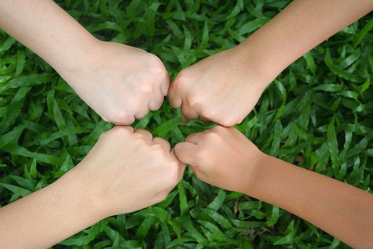 Multicultural hands on green grass
