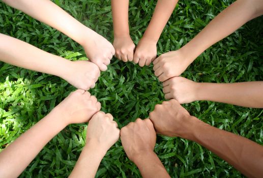 Multicultural hands on green grass