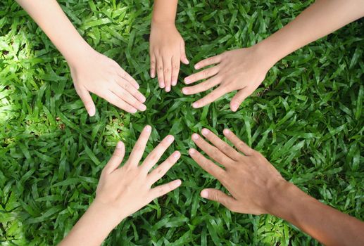Multicultural hands on green grass