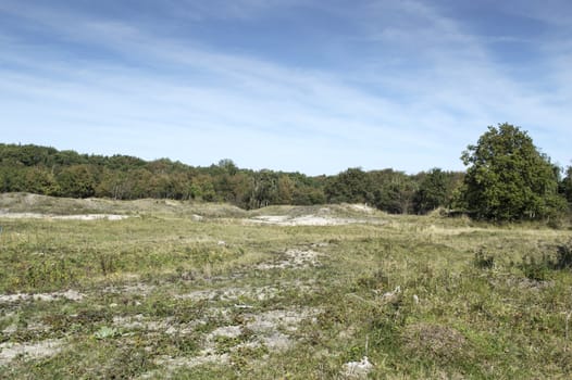 nature area called waterplas near the dutch place Rockanje