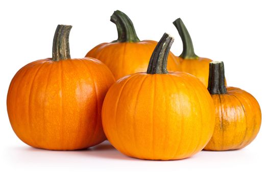 Pumpkins on white background. Autumn and halloween composition