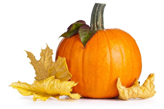 Pumpkin with autumn leaves on white background. Autumn composition