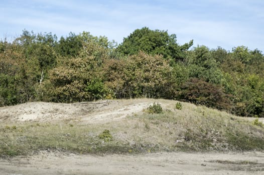 nature area called waterplas near the dutch place Rockanje