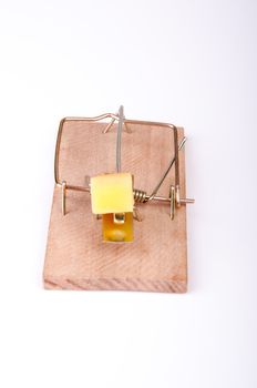 An image of mouse trap isolated on white