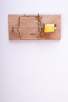 An image of mouse trap isolated on white