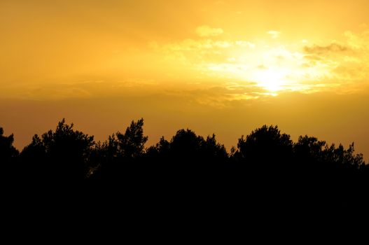 Sunset colors sky and trees silhouette. Approaching evening nature abstract.