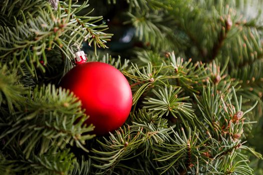 Single ornament supported by a christmas tree.