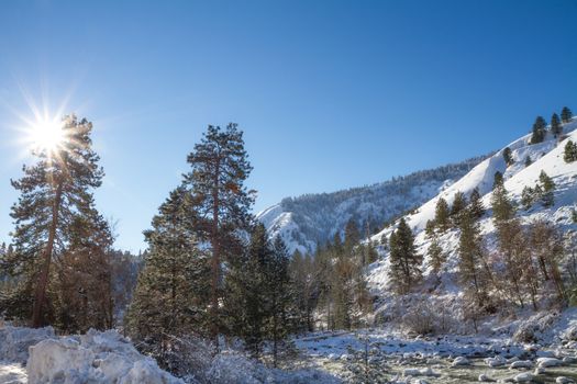 Scene showing trees covered in snow with the rays of the sun shining through