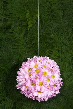 Pink flower ball isolated on green background