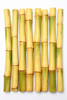 Raw Sugar cane isolated on white