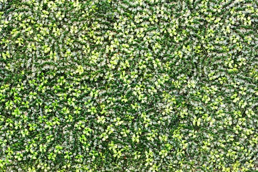 green color artificial leaf background