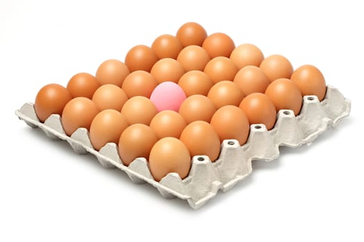 Century egg and chicken eggs in paper tray isolated on white