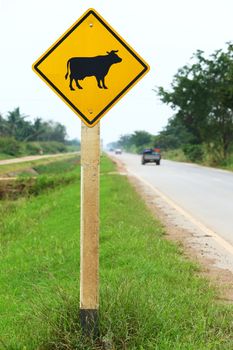 Cow warning sign on roadside