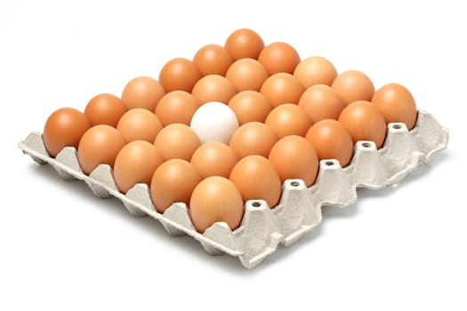 Duck and chicken eggs in paper tray isolated on white