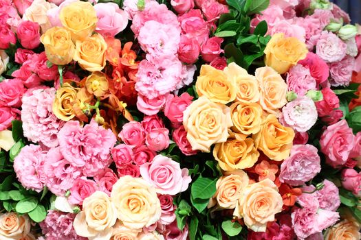 Beautiful varities color flower background