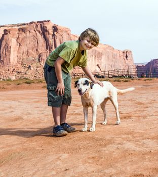 cute dog loves to be hugged by tourist