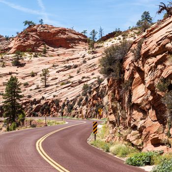 Zion National Park. A road in the middle of the nature