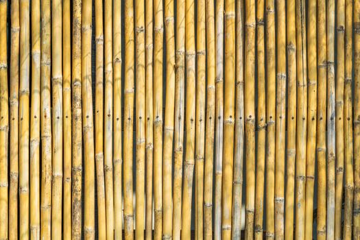 Fence decoration by yellow bamboo