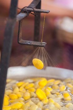 Silk making process by boil silkworm cocoon