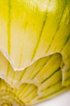 An image of close up onion isolated