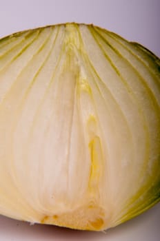 An image of close up onion isolated