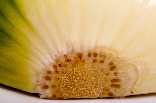 An image of close up onion isolated