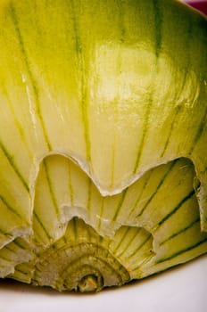 An image of close up onion isolated