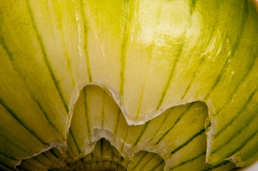 An image of close up onion isolated