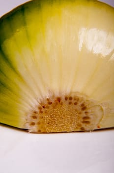 An image of close up onion isolated