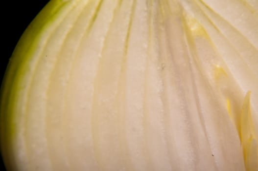 An image of close up onion isolated