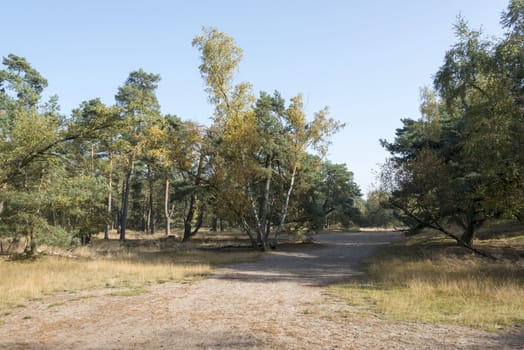 nature area in Holland called luttezand