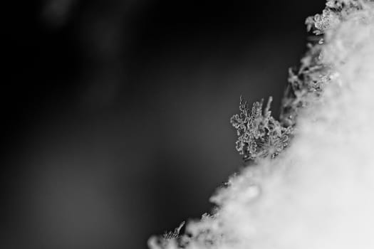 beauty white snowflake crystals on dark background