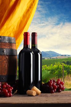 Red wine bottles with barrel and grapes, vineyard on background
