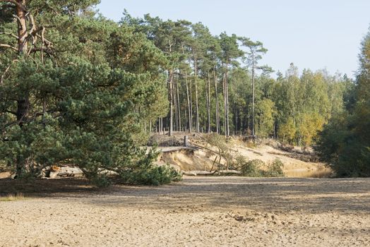 nature area in Holland called luttezand