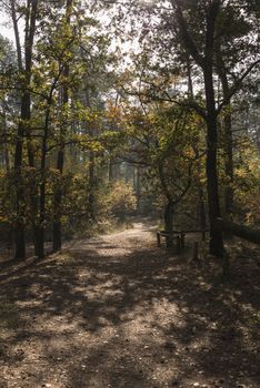 nature area in Holland called luttezand