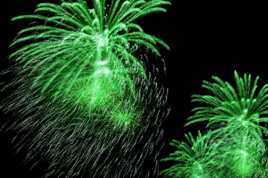 beauty colorful Fireworks Against a Black Sky