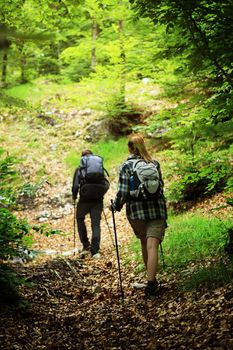 Young couple nordic walking on path in the forest, rear view