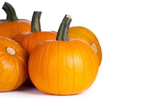 Pumpkins on white background with copy space. Autumn and halloween composition