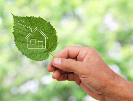 Eco house concept ,hand holding eco house icon in nature 