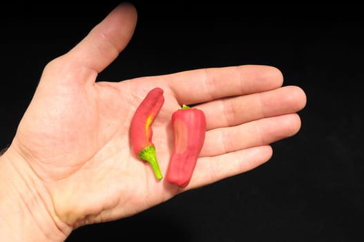 Some Very Hot Chili Peppers Ready to Cook