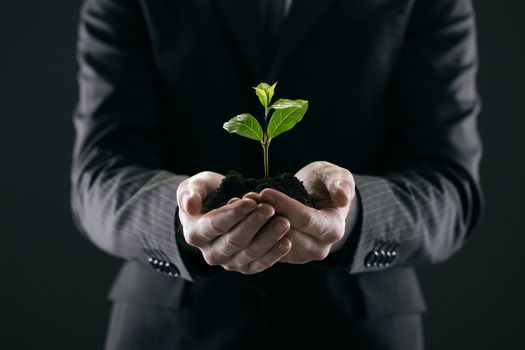 Businessman with seedling in his hands