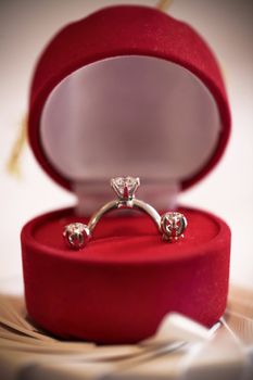 Close up Wedding rings only