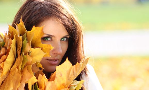 young beautiful girl with a bouquet of maple leaves