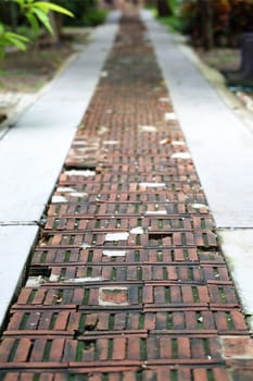 A boardwalk stretching in front of the viewer