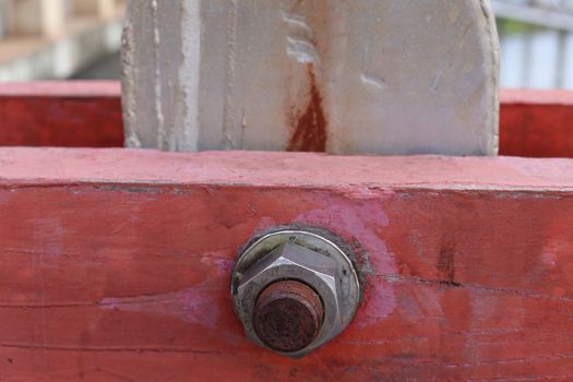 Large nut on red wood background