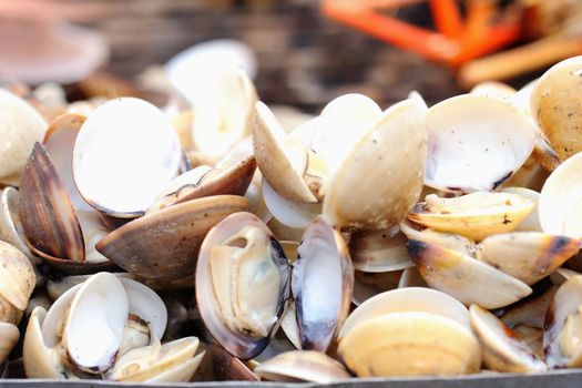 Shellfish grilled on the stove